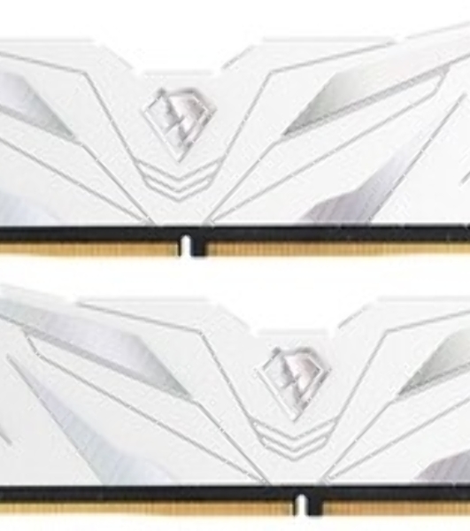 Оперативная память NETAC, DDR5, 16Gb (1x16Gb), 4800MHz, CL40, DIMM, с радиаторами, белый