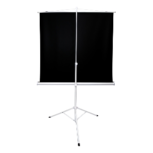Экран 221x124.5см TriScreen 16:9 напольный рулонный белый100' Matt White (MW)