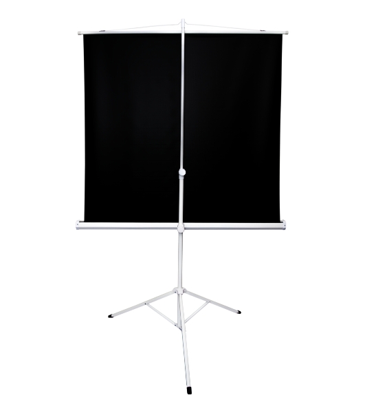 Экран 221x124.5см TriScreen 16:9 напольный рулонный белый100' Matt White (MW)