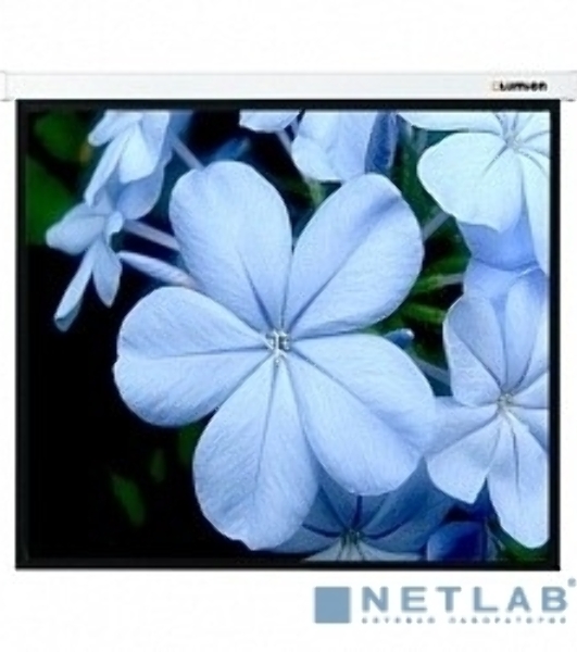 Экран Lumien 229x305 см Master Picture LMP-100112 4:3 настенно-потолочный рулонный
