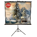 Экран Sakura 200x200 см TriScreen 1:1 напольный рулонный белый 111' Matt White (MW), черный корпус, фото 1