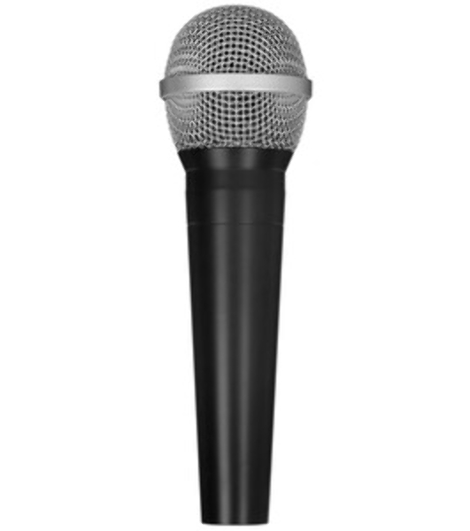 Микрофон RITMIX RDM-150 черный