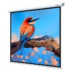 Экран Lumien 153x153см Eco Picture LEP-100107 1:1 настенно-потолочный рулонный, фото6