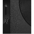 Акустическая система SVEN AC MS-2250, черный (80Вт, FM-тюнер, USB/SD, дисплей, ПДУ, Bluetooth), фото18