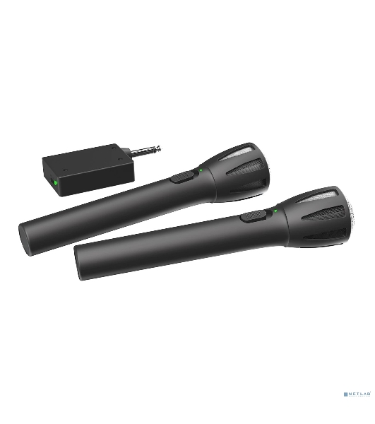 Микрофон Ritmix RWM-302 черный
