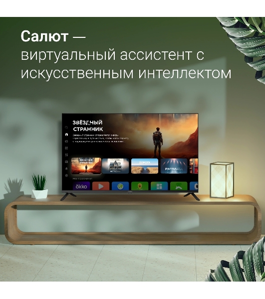 Телевизор Digma 43' DM-LED43SBB36 черный LED FHD 60Hz Салют ТВ