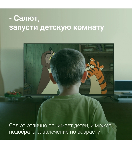 Телевизор Digma 43' DM-LED43SBB36 черный LED FHD 60Hz Салют ТВ