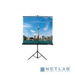 Экран на треноге Lumien 200x200 см Eco View LEV-100103 1:1 напольный рулонный, фото5