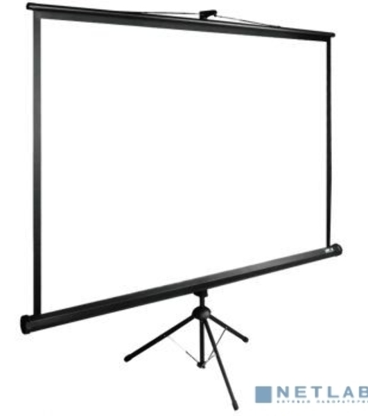 Экран Cactus 160x160 см TriExpert CS-PSTE-160x160-BK 1:1 напольный рулонный