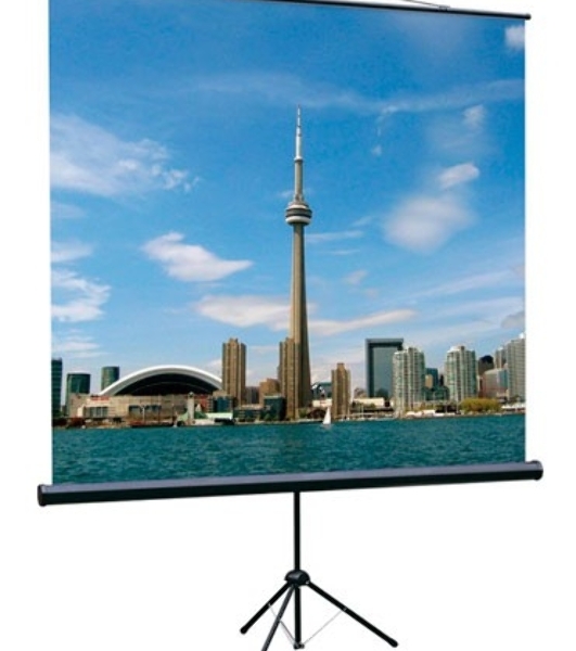 Экран на треноге Lumien 150x150 см Eco View LEV-100101 1:1 напольный рулонный