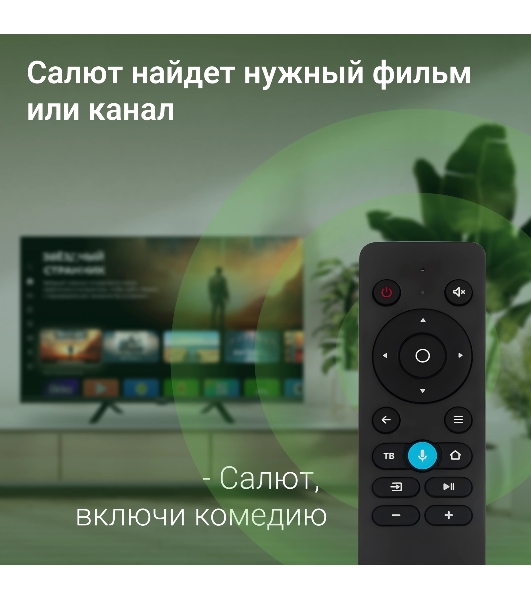Телевизор Digma 32' DM-LED32SBB34 Metal черный LED HD 60Hz Салют ТВ