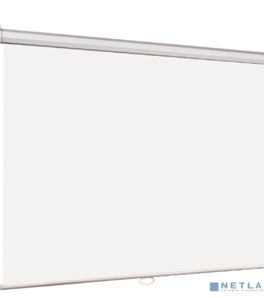 Настенный экран Lumien Eco Picture 229х305 см (рабочая область 221х297 см) Matte White прямоуголный корпус, возможность потолочн./настенного крепления, уровень в комплекте, 4:3