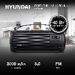 Колонка портативная Hyundai H-PS1025 черный 40W 2.0 BT 10м 3000mAh, фото20