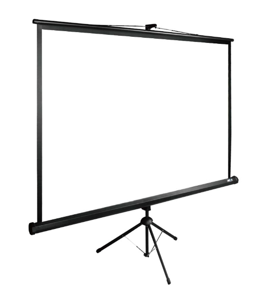Экран Cactus 150x200 см TriExpert CS-PSTE-200х150-BK 4:3 напольный рулонный