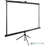 Экран Cactus 150x200 см TriExpert CS-PSTE-200х150-BK 4:3 напольный рулонный, фото5
