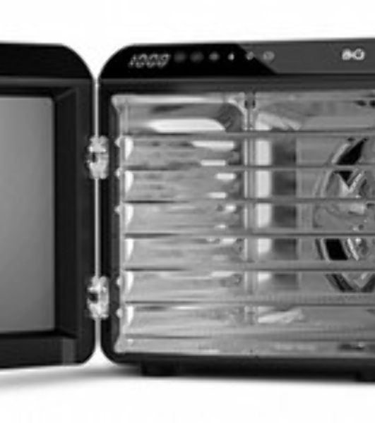 Сушилка для овощей и фруктов BQ FD1006 Black-Steel. мощность: 600 Вт