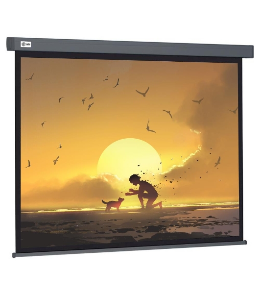 Экран Cactus 124.5x221 см Wallscreen CS-PSW-124X221-SG 16:9 настенно-потолочный рулонный серый
