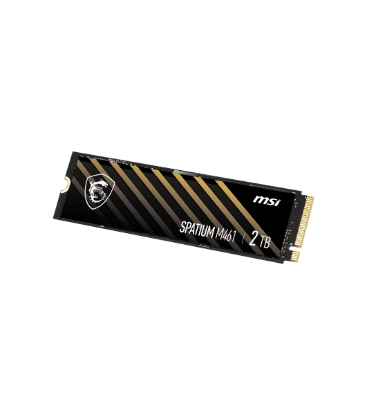 Накопитель SSD MSI SPATIUM M461, 2TB, M.2 2280, PCIe 4.0 x4, NVMe, R/W 5000/4200