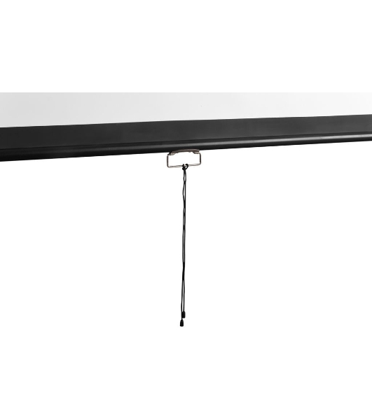 Экран 121x206см Digis Optimal-D DSOD-16903 16:9 настенно-потолочный рулонный