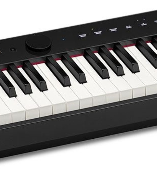 Цифровое фортепиано Casio PRIVIA PX-S1100BK 88клав. черный
