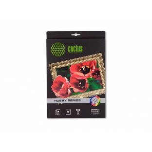 Холст Cactus CS-CA426010 A4/260г/м2/10л. для струйной печати
