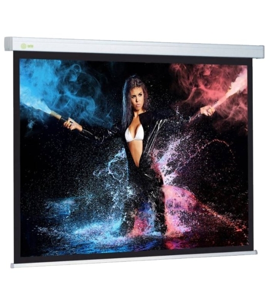 Экран Cactus 168x299см Wallscreen CS-PSW-168x299 16:9 настенно-потолочный рулонный белый
