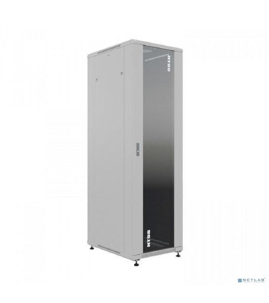Шкаф серверный NTSS Премиум (NTSS-R42U6080GS) напольный 42U 600x800мм пер.дв.стекл металл 900кг серый IP20 сталь