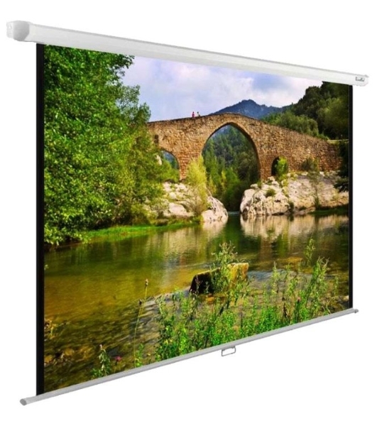 Экран Cactus 220x165 см WallExpert CS-PSWE-220x165-WT 1:1 настенно-потолочный рулонный белый