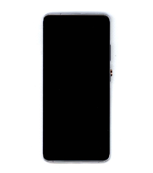 Дисплей для Samsung Galaxy S21 Ultra 5G SM-G998B/DS серебро