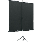 Экран на штативе Lumien Eco View 183x244см (раб.область175х236 см) Matte White с возможностью настенного крепления 4:3, фото2