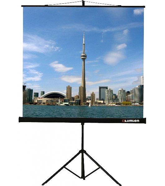 Экран на штативе Lumien Eco View 220x220 см (раб.область 214х214 см) Matte White с возможностью настенного крепления 1:1