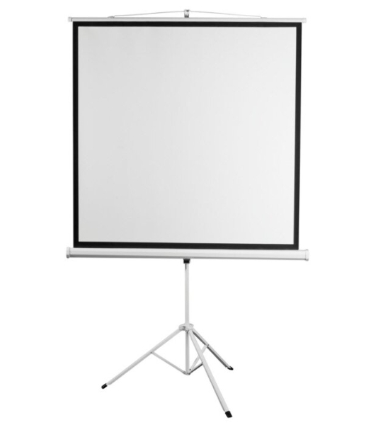 Экран на штативе Digis Kontur-D формат 1:1 135' (248x250) MW