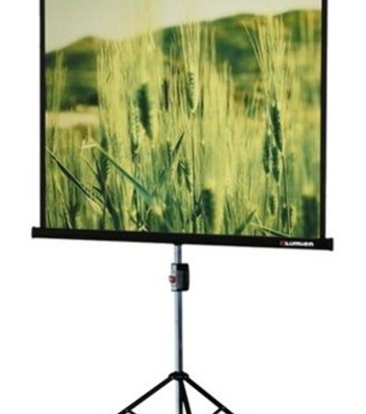 Экран на треноге Lumien 220x165 см Master View LMV-100113 4:3 напольный рулонный