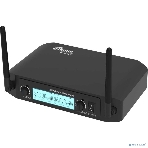 Микрофон Ritmix RWM-222 черный, фото 1