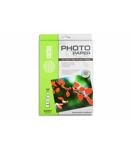 Фотобумага Cactus CS-GA4230100 глянцевая А4 230 г/м2 100 листов