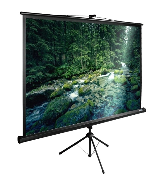 Экран Cactus 165x220 см TriExpert CS-PSTE-220х165-BK 4:3 напольный рулонный