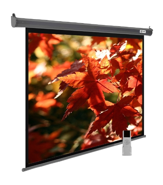 Экран Cactus 150x200 см SIlverMotoExpert CS-PSSME-200X150-DG 4:3 настенно-потолочный рулонный темно-серый (моторизованный привод)