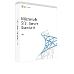 Операционная система лицензия Microsoft SQL Server Standard Edition 2019 English DVD 10 CAL (228-11548), фото4