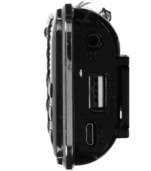 Радиоприемник портативный Сигнал РП-226BT черный/серебристый USB microSD