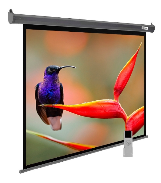 Экран Cactus 138x220см SIlverMotoExpert CS-PSSME-220X138-DG 16:10 настенно-потолочный рулонный темно-серый (моторизованный привод)