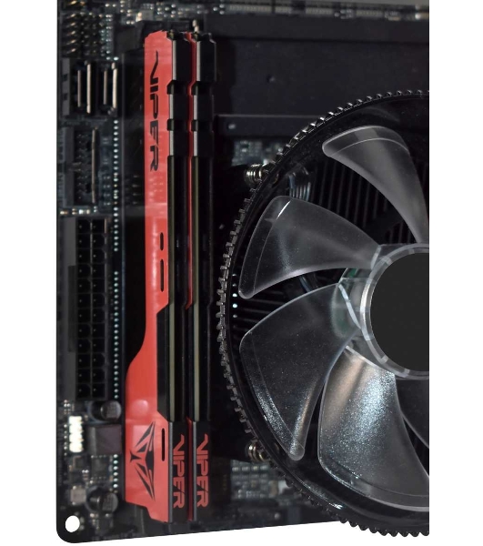 Оперативная память Patriot Viper Elite II, DDR4, 16GB (2x8 GB), 3600 MHz, CL20, DIMM, радиатор, красный, черный