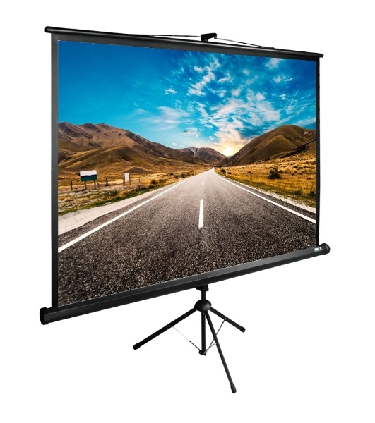 Экран Cactus 160x160 см TriExpert CS-PSTE-160x160-BK 1:1 напольный рулонный
