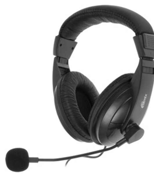 Гарнитура Ritmix RH-540M чёрный, проводная, USB