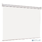 Экран Lumien 153x153см Eco Picture LEP-100107 1:1 настенно-потолочный рулонный, фото3