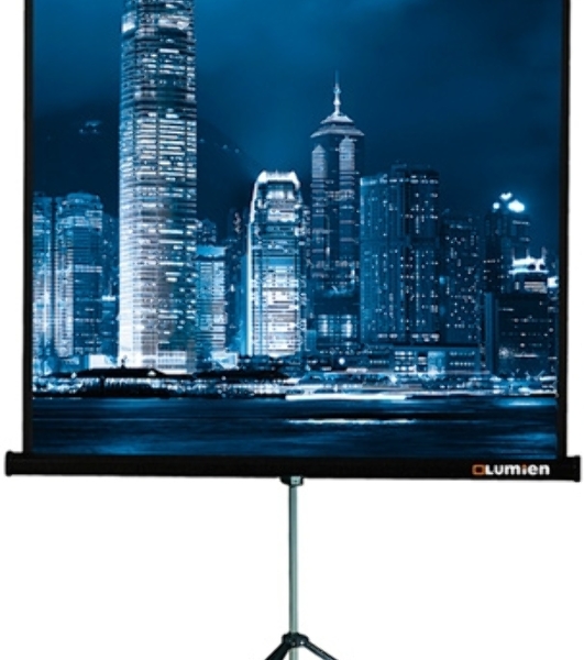 Экран на треноге Lumien 153x153см Master View LMV-100102 1:1 напольный рулонный