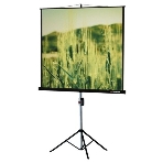 Экран на треноге Lumien 153x153см Master View LMV-100102 1:1 напольный рулонный, фото 1