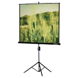Экран на треноге Lumien 153x153см Master View LMV-100102 1:1 напольный рулонный