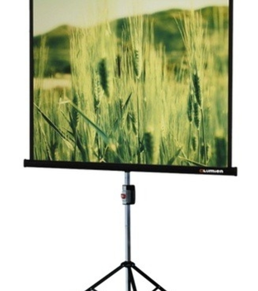 Экран на треноге Lumien 153x153см Master View LMV-100102 1:1 напольный рулонный