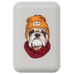 Портативный аккумулятор RITMIX RPB-10007 Bulldog (10000 мА, 2хUSB 2.1 А, софт-тач, принт Бульдог), фото4