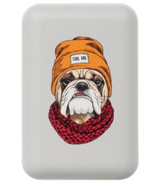 Портативный аккумулятор RITMIX RPB-10007 Bulldog (10000 мА, 2хUSB 2.1 А, софт-тач, принт Бульдог)